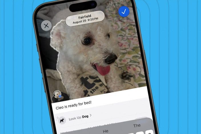 How to Add a Caption to a Photo on iPhone & iPad