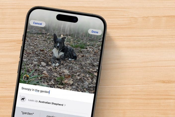 How to Add a Caption to a Photo on iPhone & iPad