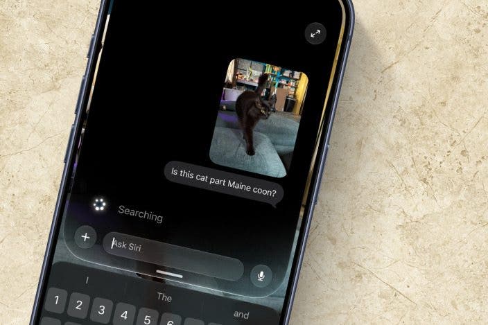 How to Use Siri Mode in Camera App on iPhone