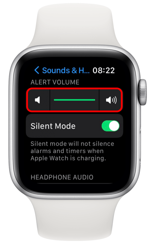 Watch Alarm Not Working Fixed How to Set Alarm on Apple Watch