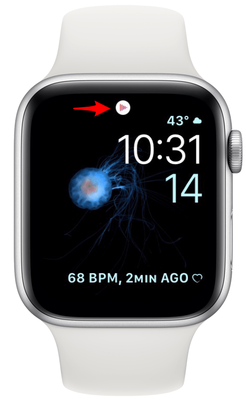 phone icon on apple watch