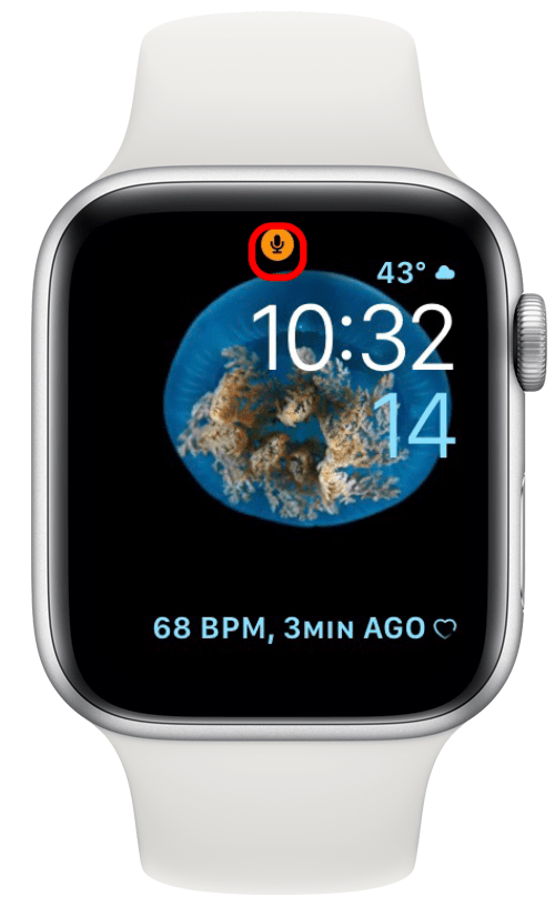 orange microphone icon on Apple Watch