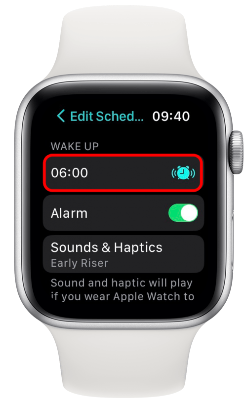 Apple watch hotsell alarm sound