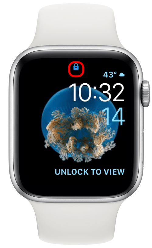 blue lock icon on Apple Watch
