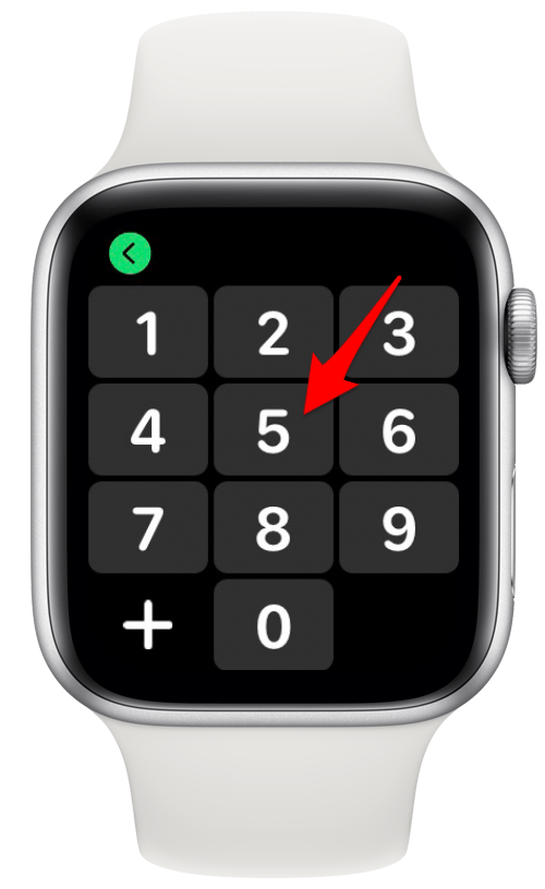 Mute Calls on Apple Watch