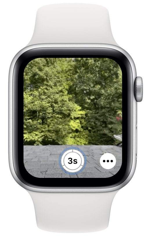 Then, double-pinch with the hand that is wearing the Apple Watch to take the photo.