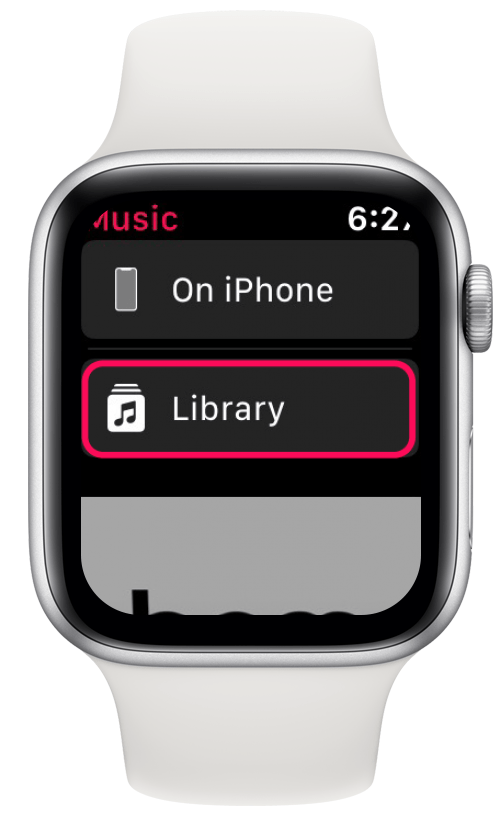 apple watch series 3 music storage capacity