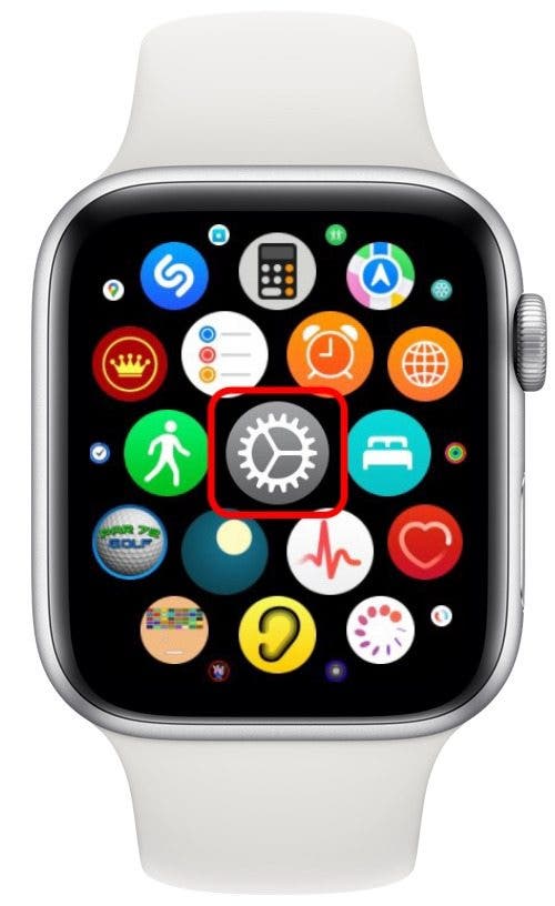 Apple watch best sale workout voice feedback