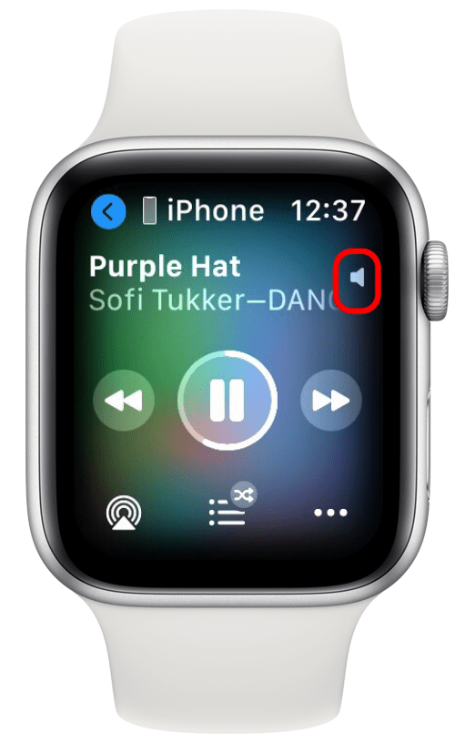 apple watch volume icon