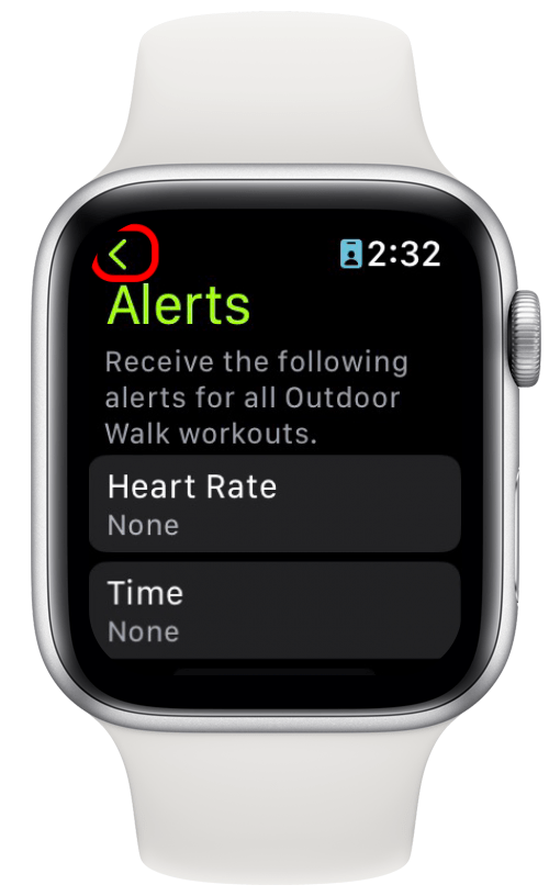 Apple watch do on sale not disturb workout