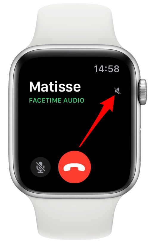 Can you answer facetime on apple watch deals
