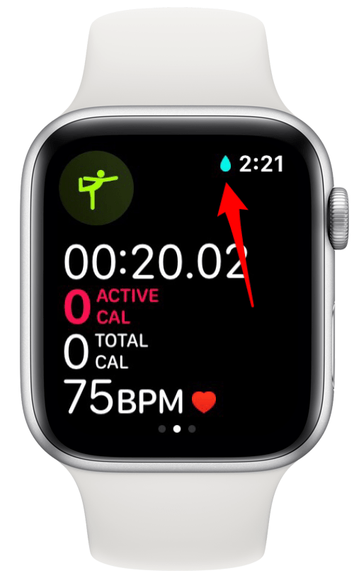 How to Lock & Unlock an Apple Watch with Water Lock