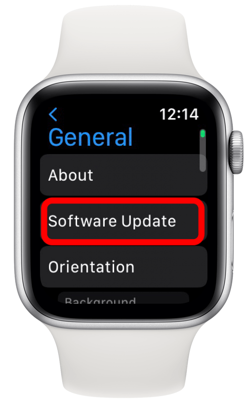 Next, tap Software Update.