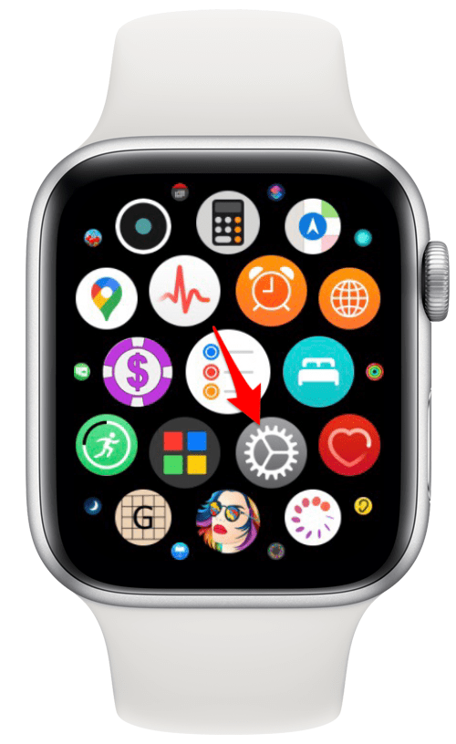 Mute Calls on Apple Watch
