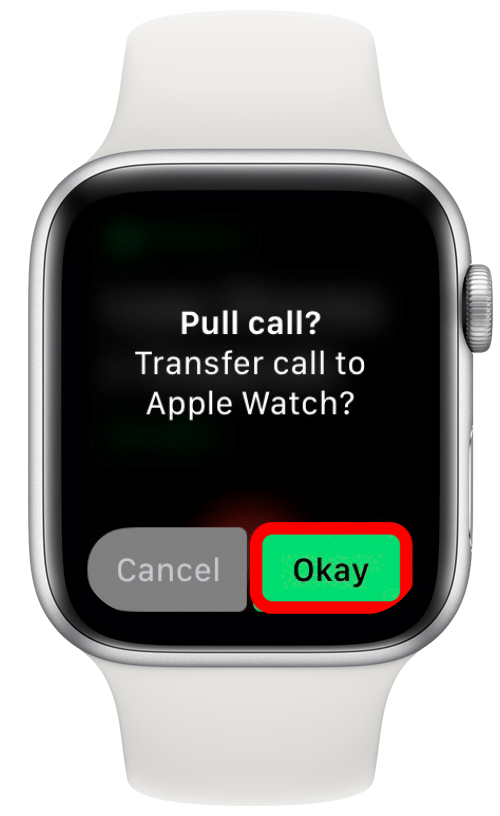 Mute Calls on Apple Watch