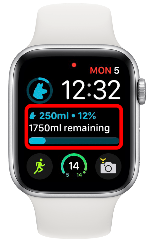 apple watch in water mode