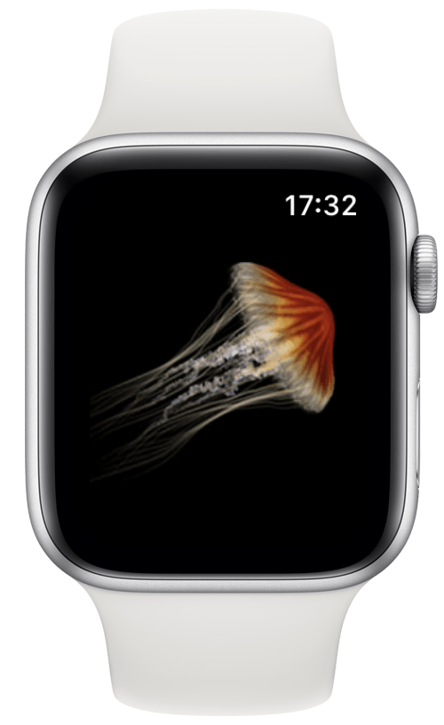 Jellyfish Tap game on Apple Watch