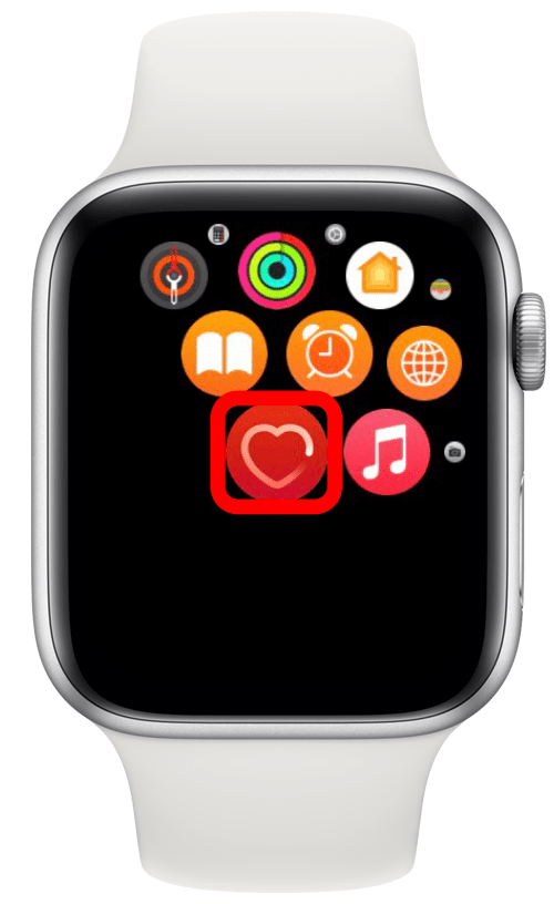 How to See Heart Rate on Apple Watch Using Siri