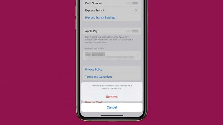 Can You Delete Apple Pay Transactions? Here's What You Can Do