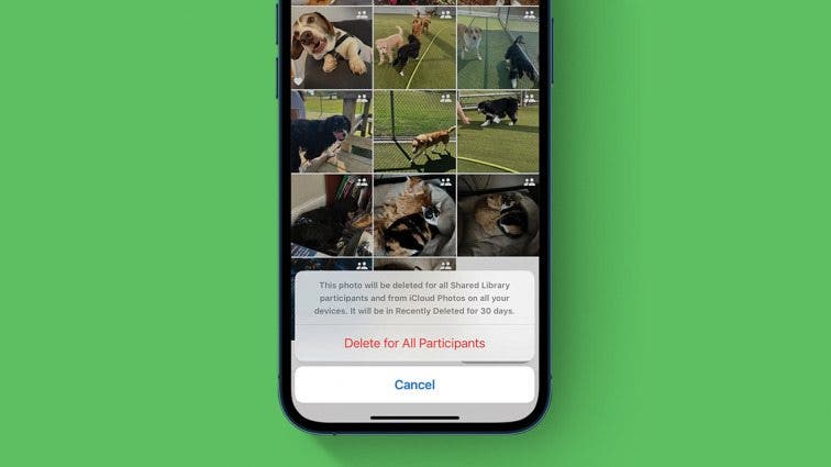 iOS 16 Shared Photo Libraries: What Happens When You Delete a Photo?