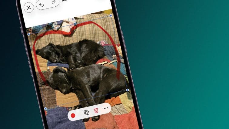 How to Remove Markup from a Photo on an iPhone & iPad