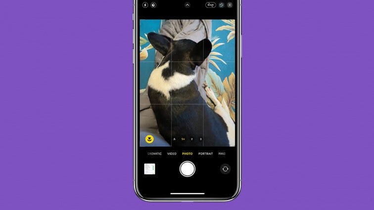 Add a Grid to Your iPhone Camera for Better Photos (iOS 17)