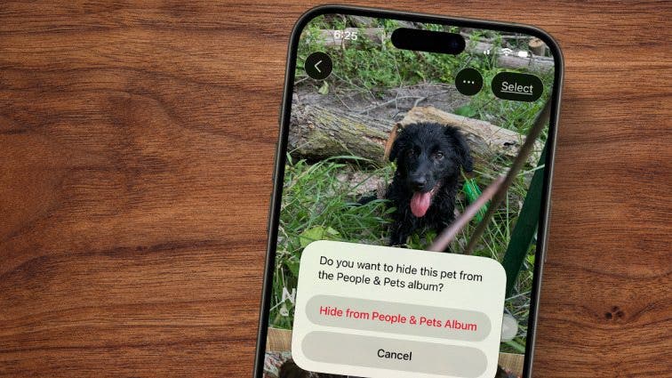 How to Delete A People Album on iPhone & iPad