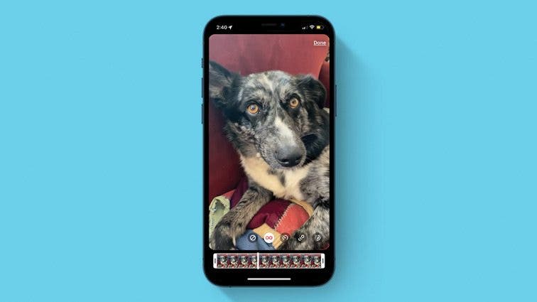 Live Photo Guide