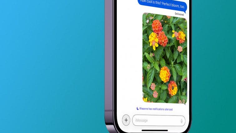 What Does Notifications Silenced Mean?