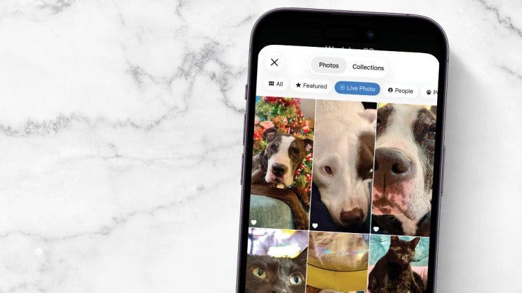 Live Photo Wallpaper for iPhone 101