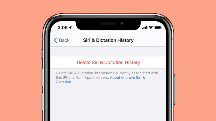 Delete Siri history