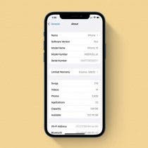 How to Find an Apple IMEI Number & Serial Number on iPhone or iPad