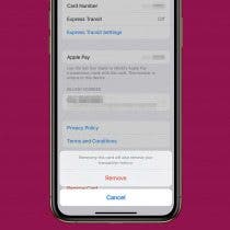 Can You Delete Apple Pay Transactions? Here's What You Can Do
