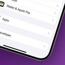 Where Did App Settings on iPhone Go? (iOS 18)