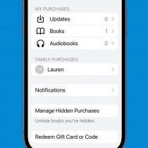 How to Access Shared Books in Apple Books App (2023)