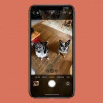 How to Take Action Shots on iPhone with Burst & Live Photos