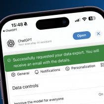 How To Do a Full Data Extraction From ChatGPT