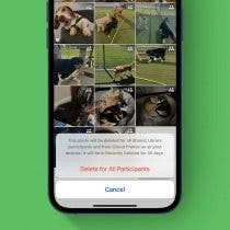 iOS 16 Shared Photo Libraries: What Happens When You Delete a Photo?