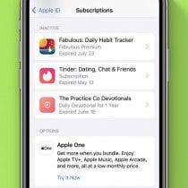 How to Delete Expired Subscriptions on iPhone (2023)