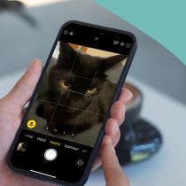 Answered: What Is the Flower on iPhone Camera?