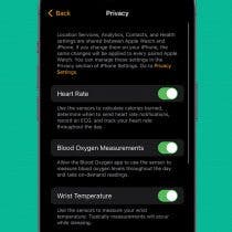 What Does the Apple Watch Green Light Mean? (watchOS 10)