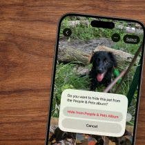 How to Delete A People Album on iPhone & iPad
