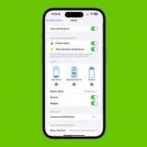 Fixed: iPhone Stuck on Home Would Like To Send You Critical Alerts (iOS 17)