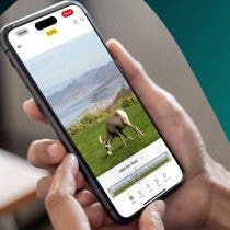 How to Select a Frame from a Live Photo