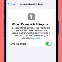 How to Enable iCloud Keychain on Your iPhone or iPad (iOS 17)