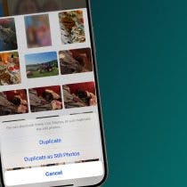 How to Change Multiple Live Photos to Still on iPhone & iPad