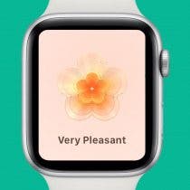 How to Log Your State of Mind on Apple Watch (watchOS 10)