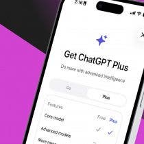 Should You Pay for AI?