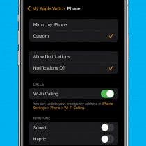 How to Turn Off Apple Watch Phone Call Notifications (watchOS 10)