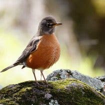 Best Photography Gear for 2024